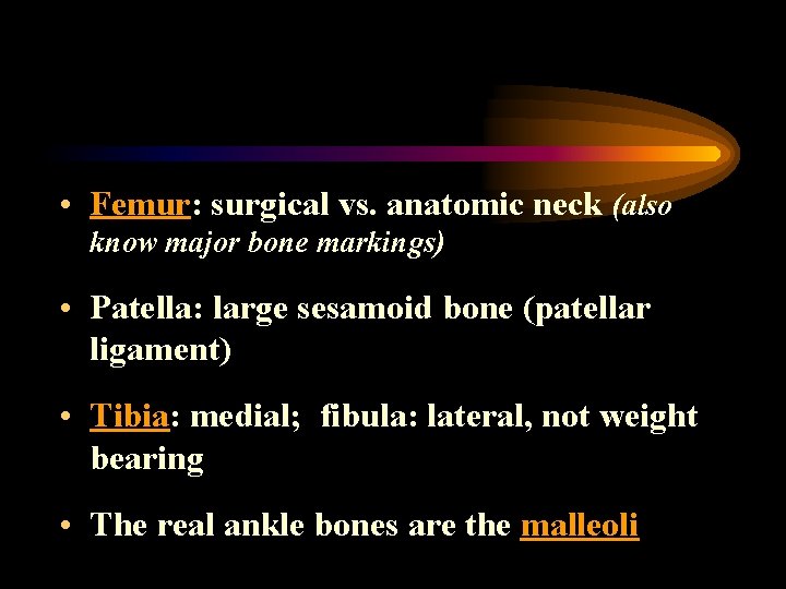  • Femur: surgical vs. anatomic neck (also know major bone markings) • Patella:
