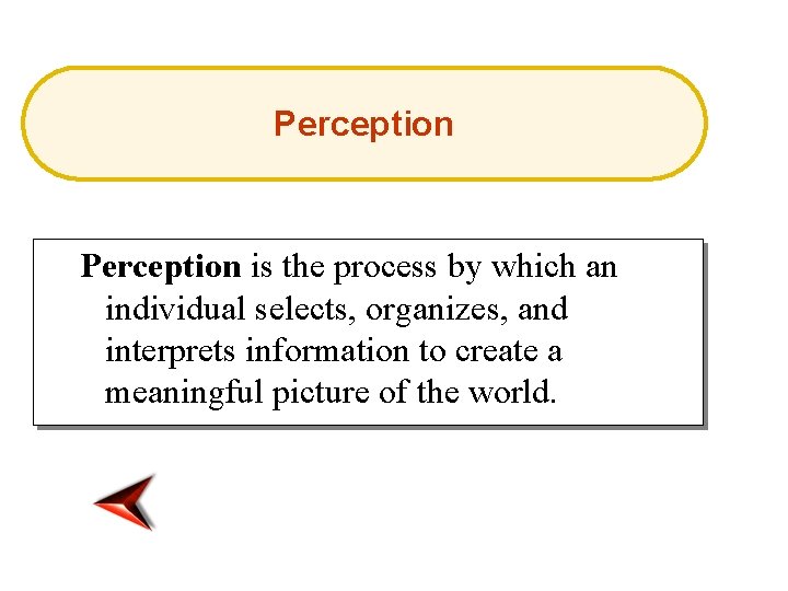 Perception is the process by which an individual selects, organizes, and interprets information to