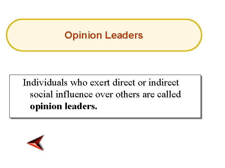 Opinion Leaders Individuals who exert direct or indirect social influence over others are called