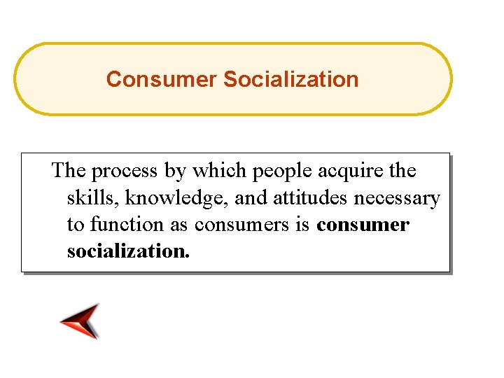 Consumer Socialization The process by which people acquire the skills, knowledge, and attitudes necessary
