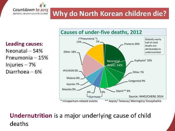 Why do North Korean children die? Leading causes: Neonatal – 54% Pneumonia – 15%