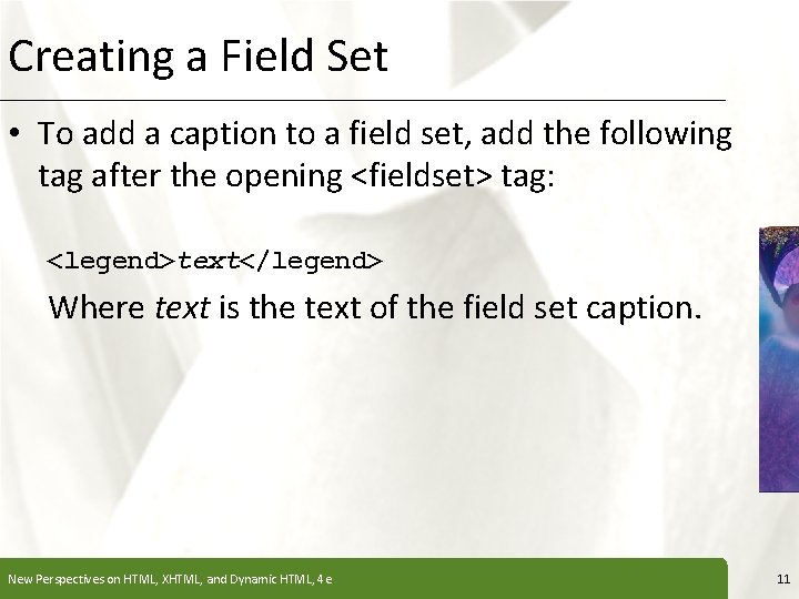 Creating a Field Set XP • To add a caption to a field set,