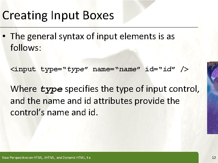 Creating Input Boxes XP • The general syntax of input elements is as follows: