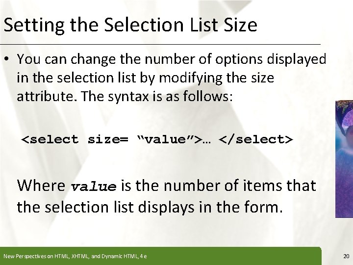 Setting the Selection List Size XP • You can change the number of options