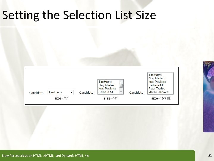 Setting the Selection List Size New Perspectives on HTML, XHTML, and Dynamic HTML, 4