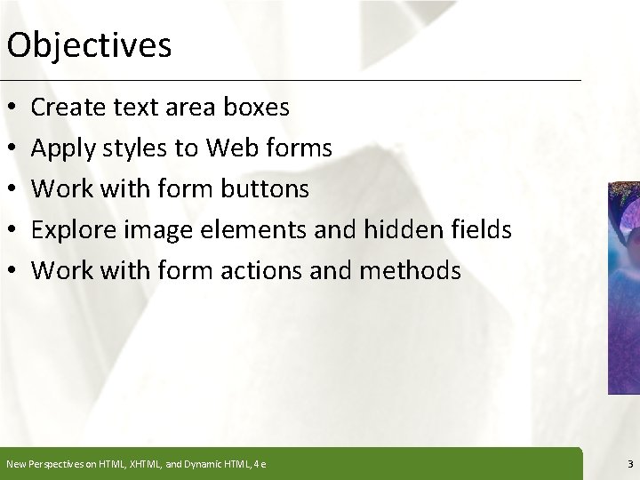 Objectives • • • XP Create text area boxes Apply styles to Web forms