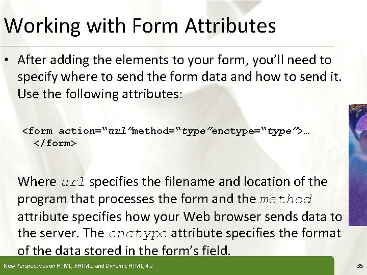 Working with Form Attributes XP • After adding the elements to your form, you’ll