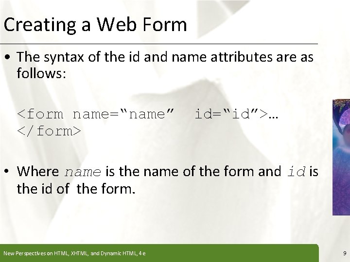 Creating a Web Form XP • The syntax of the id and name attributes