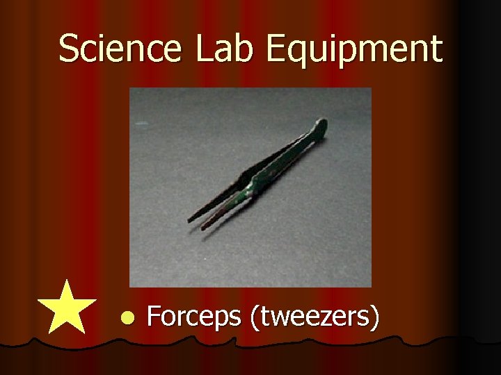 Science Lab Equipment l Forceps (tweezers) 