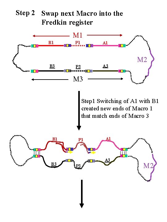 Step 2 Swap next Macro into the Fredkin register M 1 B 1 P