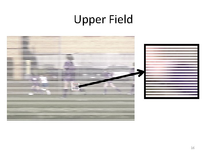 Upper Field 16 