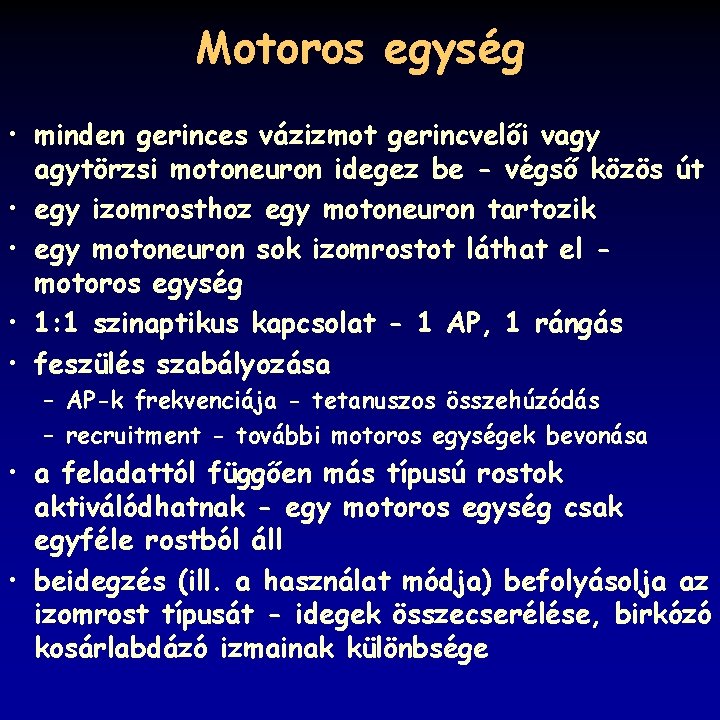 Motoros egység • minden gerinces vázizmot gerincvelői vagy agytörzsi motoneuron idegez be - végső