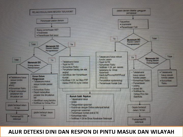 ALUR DETEKSI DINI DAN RESPON DI PINTU MASUK DAN WILAYAH 