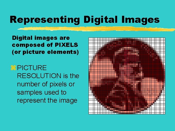 Representing Digital Images Digital images are composed of PIXELS (or picture elements) z PICTURE