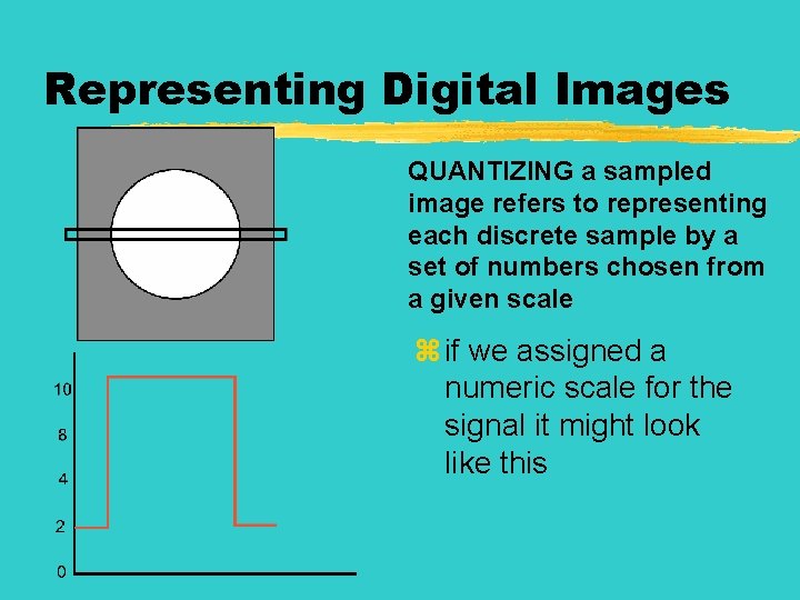 Representing Digital Images QUANTIZING a sampled image refers to representing each discrete sample by