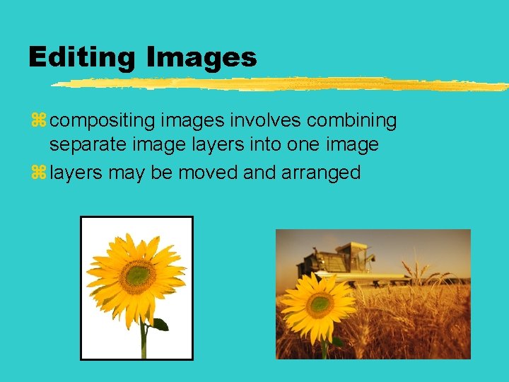 Editing Images z compositing images involves combining separate image layers into one image z