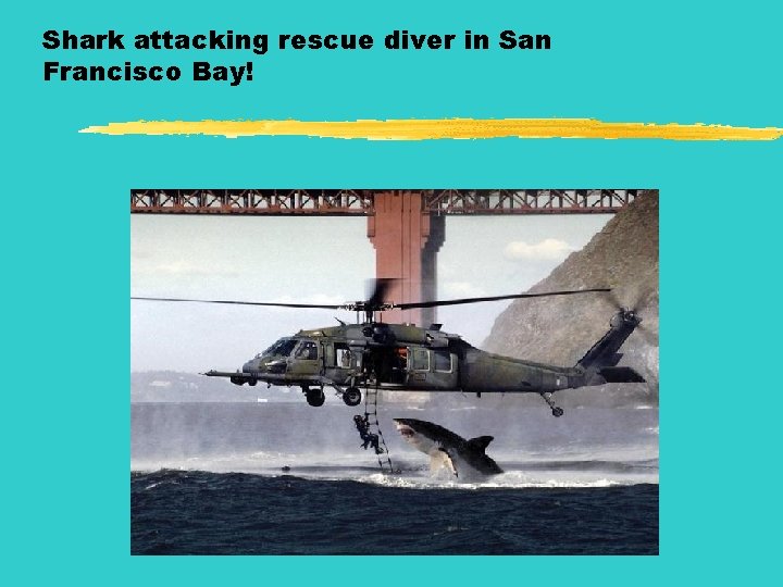 Shark attacking rescue diver in San Francisco Bay! 