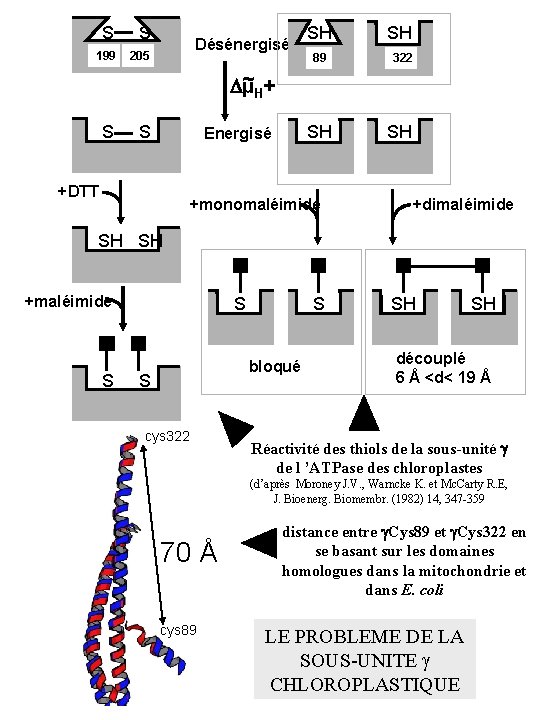 S S 199 205 Désénergisé SH 89 SH 322 ~ + Dµ H S