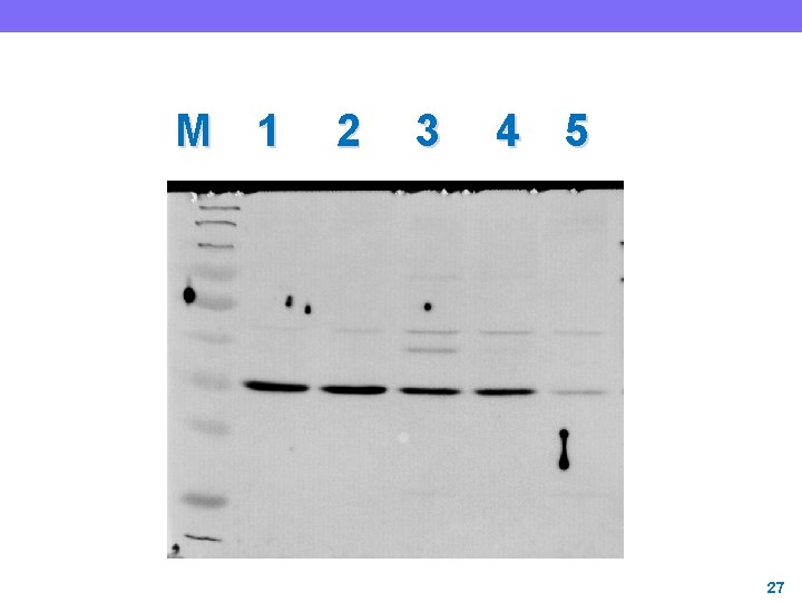 M 1 2 3 4 5 27 