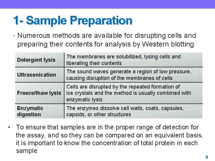 1 - Sample Preparation • Numerous methods are available for disrupting cells and preparing