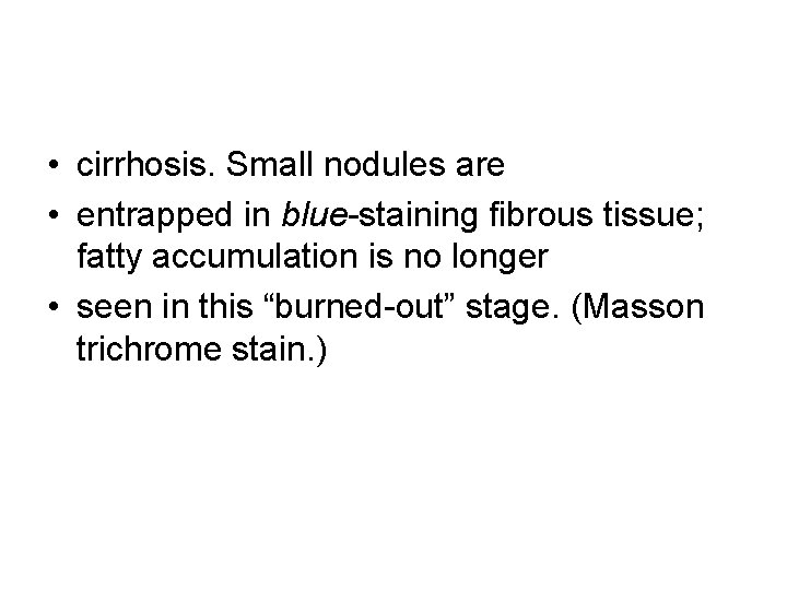  • cirrhosis. Small nodules are • entrapped in blue-staining fibrous tissue; fatty accumulation