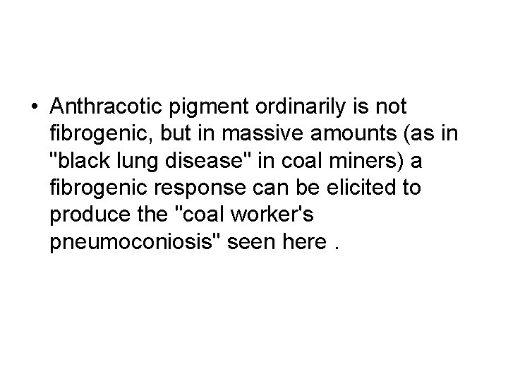  • Anthracotic pigment ordinarily is not fibrogenic, but in massive amounts (as in