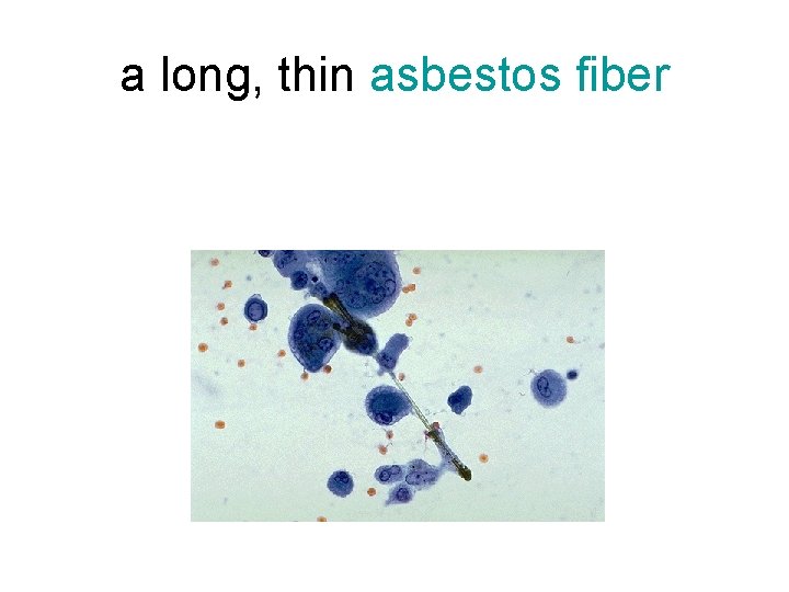 a long, thin asbestos fiber 