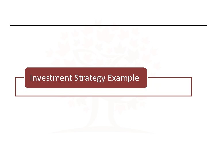 Investment Strategy Example 