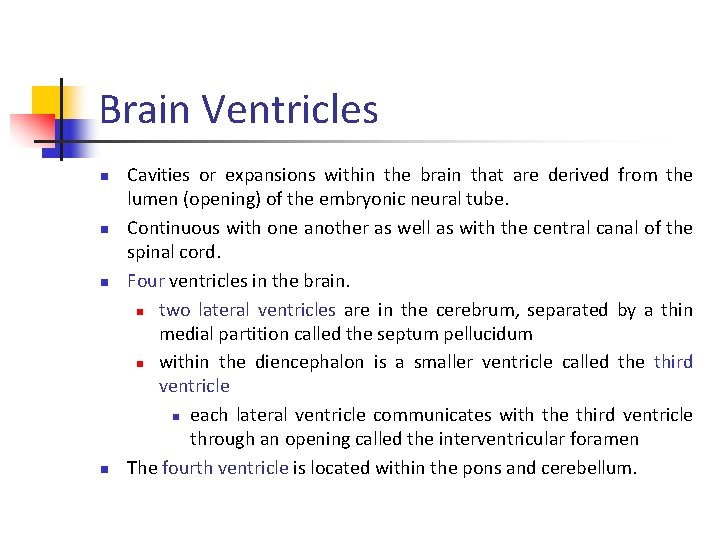 Brain Ventricles n n Cavities or expansions within the brain that are derived from