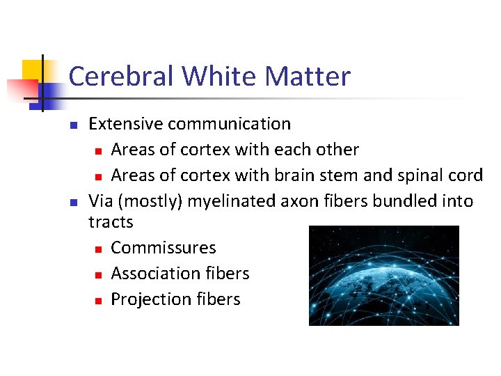 Cerebral White Matter n n Extensive communication n Areas of cortex with each other