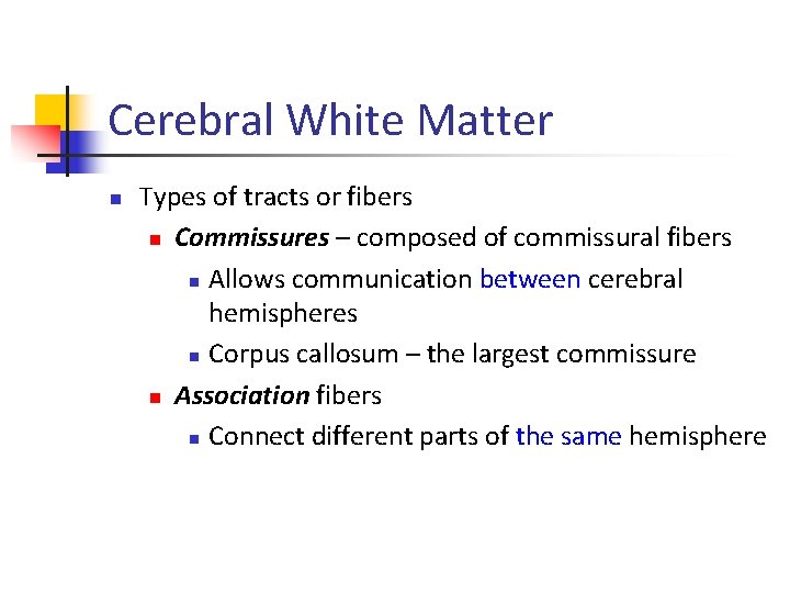 Cerebral White Matter n Types of tracts or fibers n Commissures – composed of