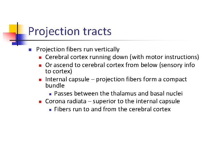 Projection tracts n Projection fibers run vertically n Cerebral cortex running down (with motor