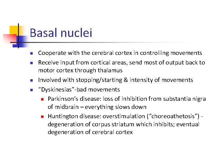 Basal nuclei n n Cooperate with the cerebral cortex in controlling movements Receive input