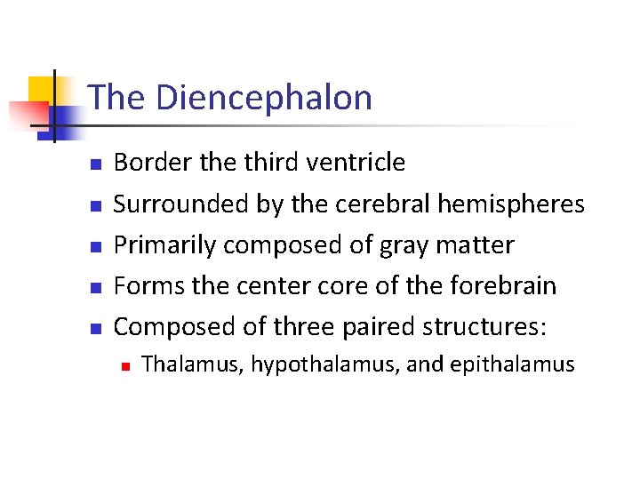 The Diencephalon n n Border the third ventricle Surrounded by the cerebral hemispheres Primarily