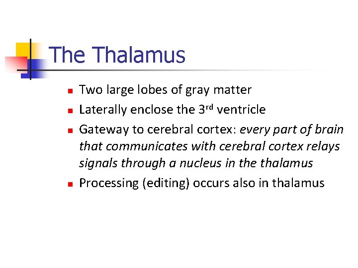 The Thalamus n n Two large lobes of gray matter Laterally enclose the 3