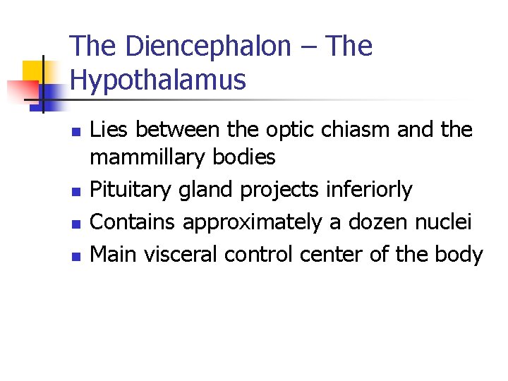 The Diencephalon – The Hypothalamus n n Lies between the optic chiasm and the