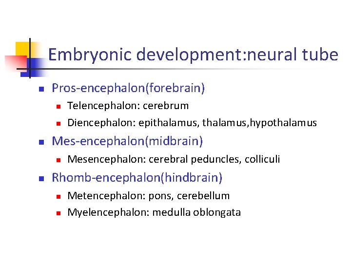 Embryonic development: neural tube n Pros-encephalon(forebrain) n n n Mes-encephalon(midbrain) n n Telencephalon: cerebrum