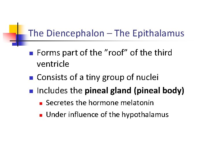 The Diencephalon – The Epithalamus n n n Forms part of the ”roof” of