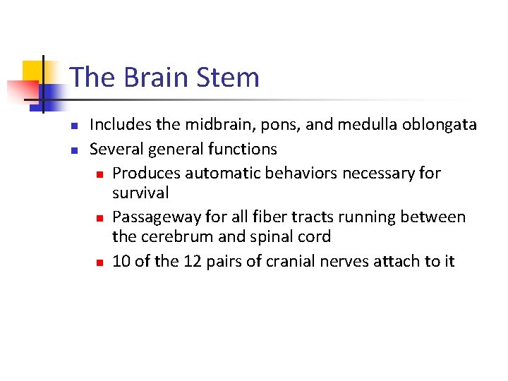 The Brain Stem n n Includes the midbrain, pons, and medulla oblongata Several general