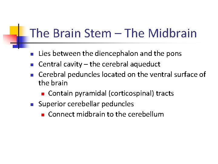 The Brain Stem – The Midbrain n n Lies between the diencephalon and the