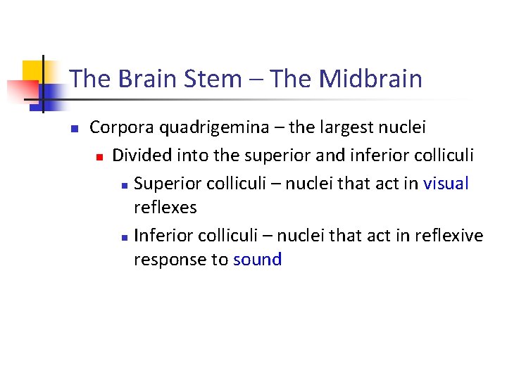 The Brain Stem – The Midbrain n Corpora quadrigemina – the largest nuclei n