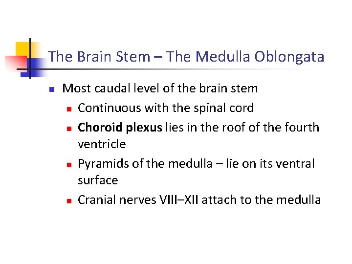 The Brain Stem – The Medulla Oblongata n Most caudal level of the brain