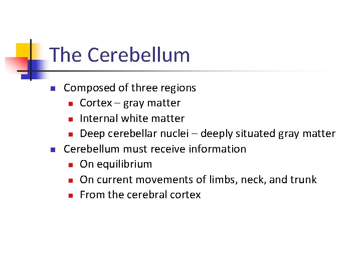 The Cerebellum n n Composed of three regions n Cortex – gray matter n