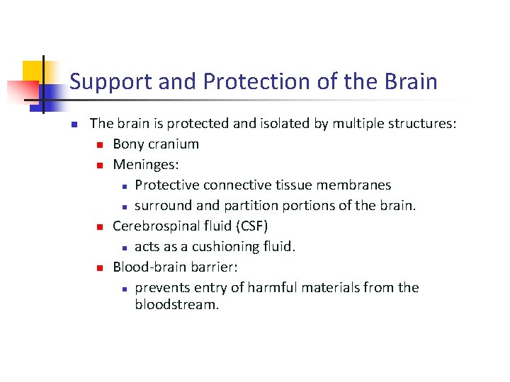 Support and Protection of the Brain n The brain is protected and isolated by