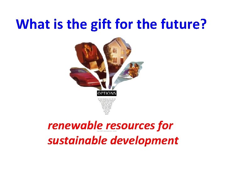 SKIMMING What is the gift for the future? renewable resources for sustainable development 
