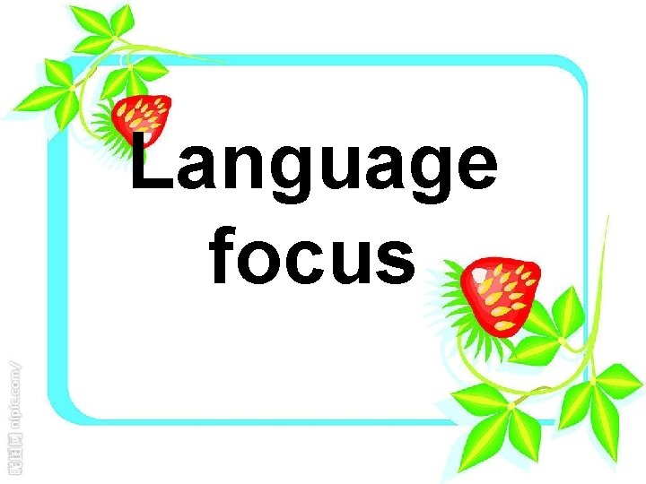Language focus 