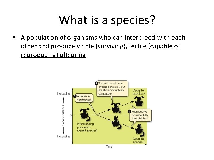 What is a species? • A population of organisms who can interbreed with each
