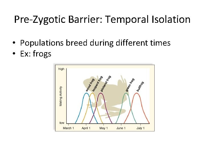 Pre-Zygotic Barrier: Temporal Isolation • Populations breed during different times • Ex: frogs 