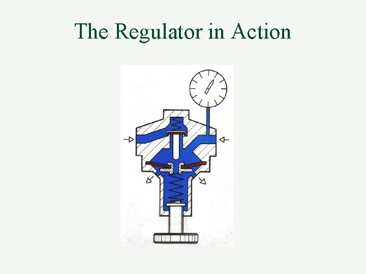 The Regulator in Action 