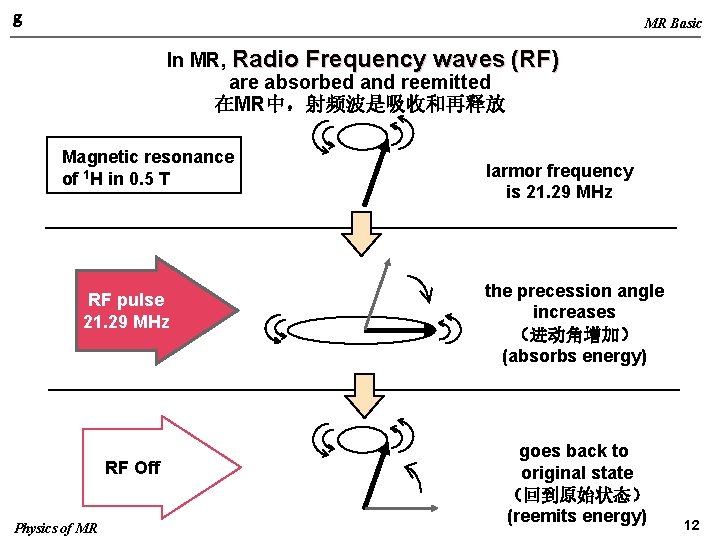 g MR Basic In MR, Radio Frequency waves (RF) are absorbed and reemitted 在MR中，射频波是吸收和再释放